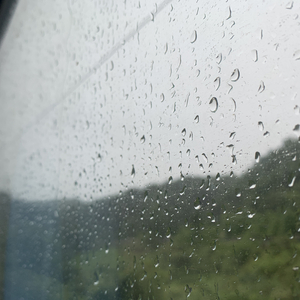 美女流出尿来黄片
