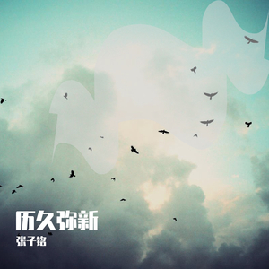 美女流出尿来黄片
