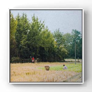 美女流出尿来黄片
